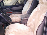 Fur 08C